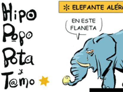 RAMÓN