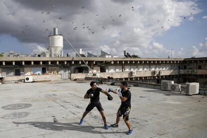 Doron Turgeman (i), 35, y Michael Alimelech (d), 26, entrenan en la azotea de su edificio donde también dan cursos de Krav Magá, una técnica de autodefensa israelí, en la ciudad de Guivataim, al este de Tel Aviv.