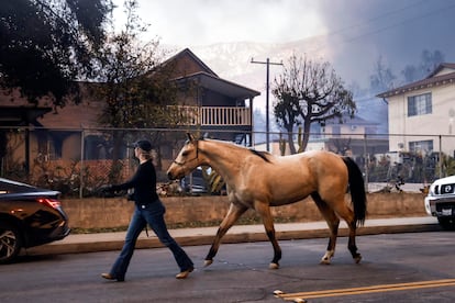 Una mujer evaca a un caballo en un vecindario amenazado por el fuego de Los Angeles.