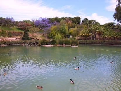 Lake of La Paloma Park, in Benalmádena.