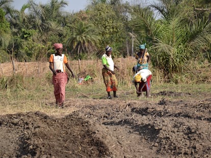 Una iniciativa en el norte de Benin apoya a las mujeres en el almacenaje de cereales, además de brindarles formación en temas de seguridad alimentaria y lucha contra la pobreza.