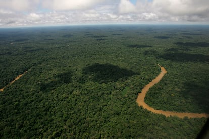 Vista aérea del Parque Nacional Yasuní, en la selva al noreste de Ecuador.