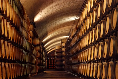 Imagen de la bodega Señorío de Los Llanos, de García Carrión. Imagen proporcionada por la compañia.