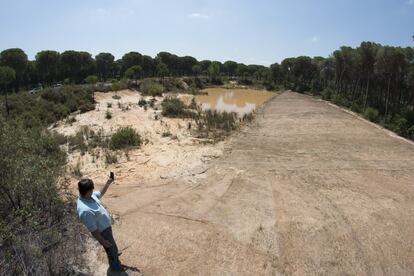 “Es el maridaje perfecto que una empresa actúe sobre estas lagunas abandonadas, sin uso. Un esfuerzo hecho entre todos. No siempre las empresas ponen financiación privada a disposición de lo público”, declaró el alcalde de la localidad Miguel Ángel Curiel durante la inauguración de las obras. Imagen de la laguna del Lince, uno de los humedales rehabilitados por el Proyecto Doñana Heineken en Hinojos, Huelva.