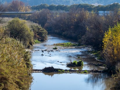 El río Llobregat a su paso por Castellbisbal, en una imagen de archivo.