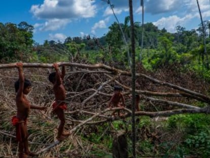 Etnia vive em terras dentro da reserva mineral extinta por decreto pelo Governo Temer, que gerou protestos no Brasil e no exterior. Decisão está suspensa, mas indígenas querem que ela seja derrubada de vez