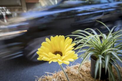 Un cotxe circula davant d'una flor al carrer Diputaci. Barcelona supera any rere any els lmits de contaminaci permesos per la UE, 40 micrograms de nitrogen per metre cbic d'aire.