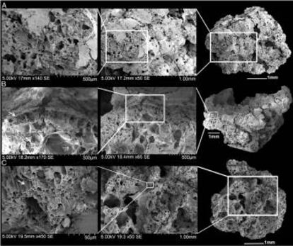 Imagem de três das amostras de pão vistas sob microscópio eletrônico de varredura.
