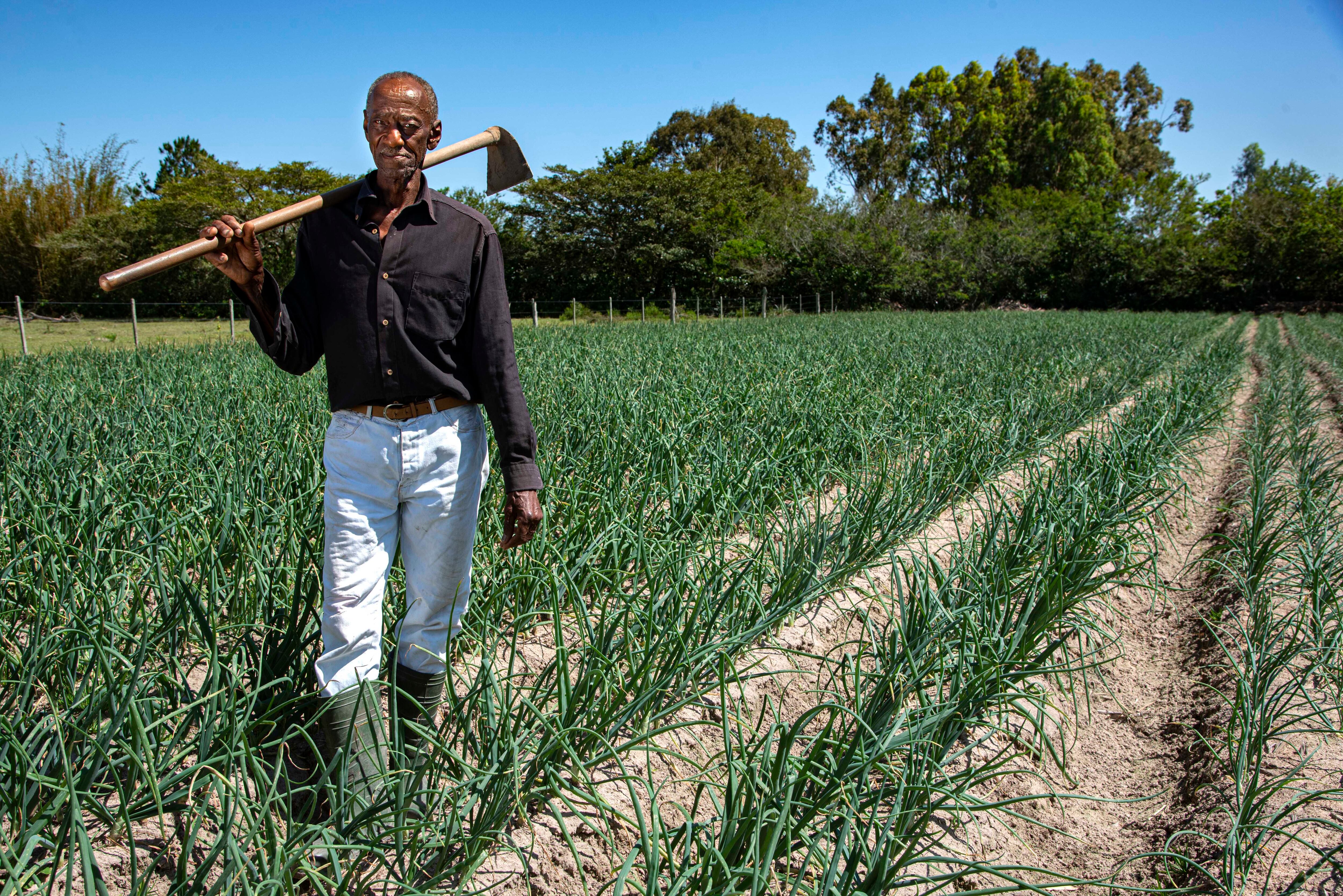 Don João Manoel da Silva, habitante de una quilombola en el sur de Brasil, posa junto a un cultivo de cebollas.