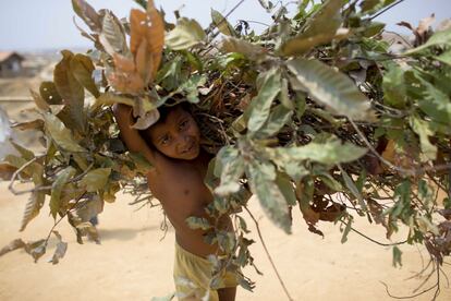 Un niño recoge ramas para cocinar en el campo de refugiados de Kutupalong. Los rohinyás deforestan cada día el equivalente a cuatro campos de refugiados. Las agencias internacionales buscan combustibles alternativos.