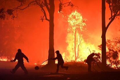 Voluntarios del Servicio de Bomberos Rurales (RFS) y bomberos profesionales combaten un incendio forestal cerca de Termeil (Australia).