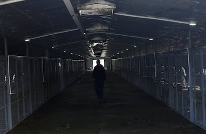 Interior de las instalaciones del refugio de perros callejeros en la prisión más grande de Serbia.