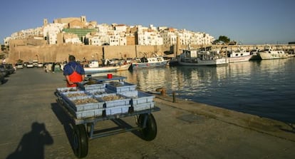 Un pescador arrastra sus capturas en el puerto pesquero de Pe&ntilde;&iacute;scola.