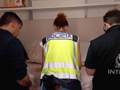 Imagen de los registros realizados por la Policía Nacional, junto a agentes de Europol e Interpol, durante la primera fase de la Operación Conífera, en junio de 2022.