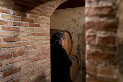 Los Trujales son los originarios depósitos enterrados donde antes elaboraba el vino brisado y ahora crían en barrica. Imagen proporcionada por la bodega.