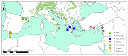 Mapa con los bosques y especies de abetos incluidos en el estudio.