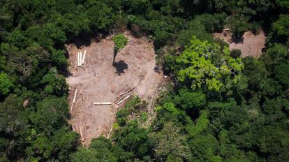 Imagen de un terreno deforestado en el Amazonas.
