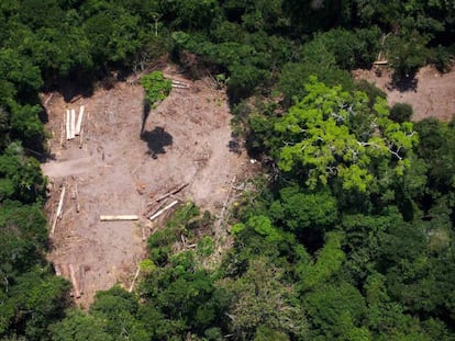 Imagen de un terreno deforestado en el Amazonas.