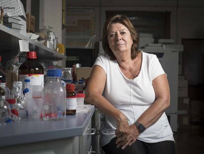 La química María Vallet, en su laboratorio de la Universidad Complutense de Madrid.