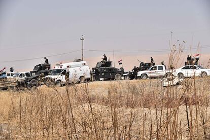 Un convoy de soldados de las fuerzas especiales iraquíes se dirigen al frente de Qaraqosh en la batalla por liberar Mosul.