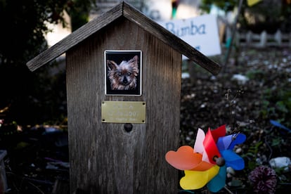 A portrait of Lilla adorns her tomb at the Casa Rosa pet cemetery in Rome, Italy.