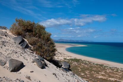 Vista de la playa de El Risco, en Costa Calma (Fuerteventura) vacía a finales de abril.