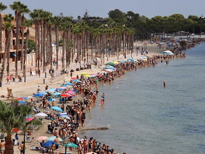 Miles de personas han formado una cadena humana este sábado a orillas del Mar Menor en señal de protesta por el desastre ecológico que sufre la zona.