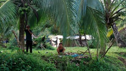 La región del Caribe reúne el mayor número de reservas naturales del país.