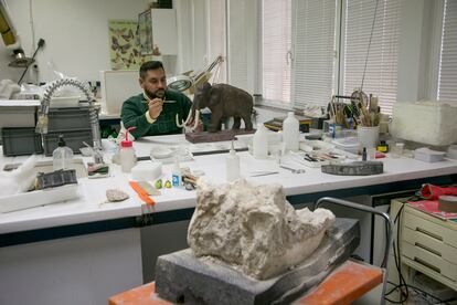 Un investigador trabaja en un laboratorio del museo.