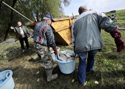 Dos voluntarios llevan un cubo con peces del río Marcal