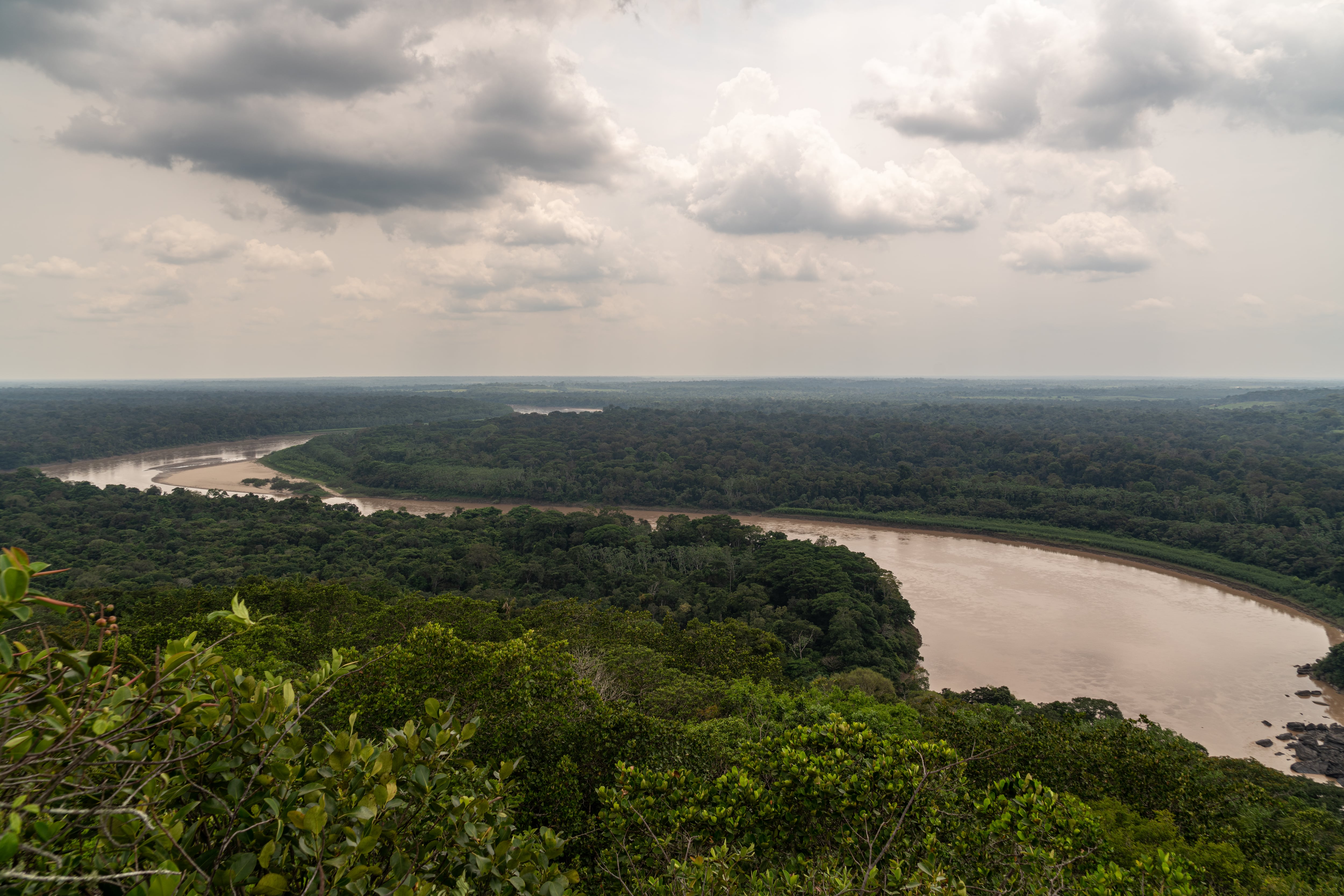 Cómo lograr un financiamiento para el futuro de la biodiversidad colombiana