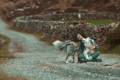 Consejos para viajar con perro en verano