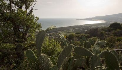 Paraje de Valdevaqueros, en la costa de Tarifa (Cádiz).