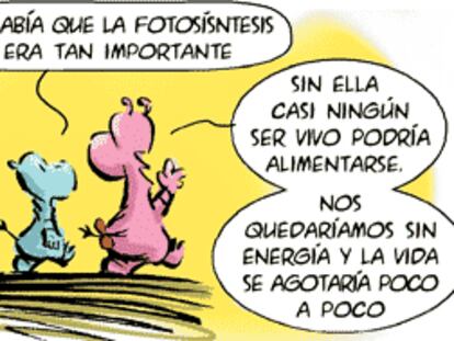 RAMÓN