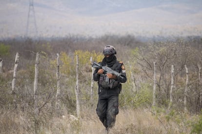 Un policía recorre la zona donde Debanhi fue vista por última vez.