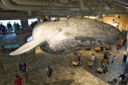 Una de las salas del Acuario de Bahía de Monterey, en California.