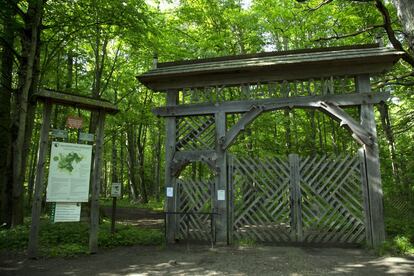 Entrada a la reserva integral del Parque Nacional de Bialowieza. Esta zona solo se puede visitar con un guía autorizado y la intervención humana allí es mínima.