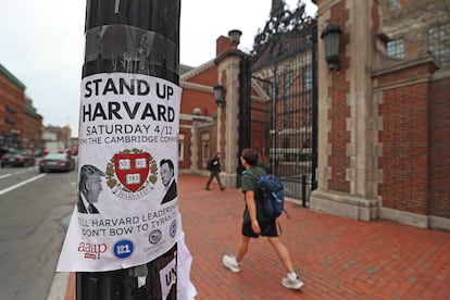 A poster for a protest on a telephone pole at Harvard University. (Photo by David L. Ryan/The Boston Globe via Getty Images)