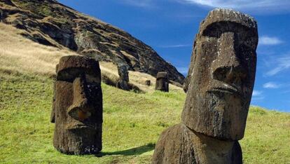 Los ‘rapa nui’ no pararon hasta talar el último árbol de la Isla de Pascua, condenando así a la muerte a su propia civilización