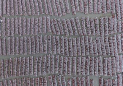 Vista aérea de alrededor de 10.000 bicicletas públicas en Guangzhou (China).