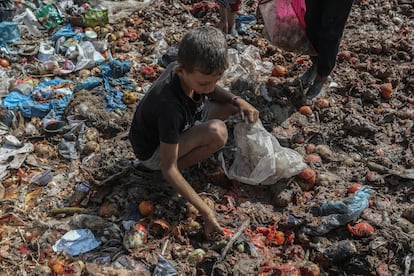 Un niño palestino busca comida en el basurero de Deir al-Balah, este lunes en Gaza.