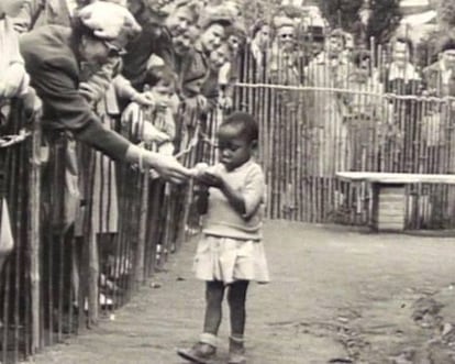 Exhibición de africanos en Bélgica, 1958