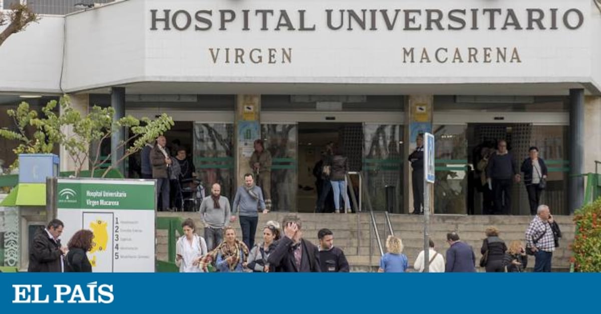 www.elpais.com