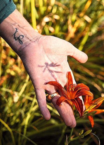 "Las flores son órganos sexuales. Parecen diseñadas para la mirada del hombre. Pero lo que tienen que atraer es la mirada de un insecto que solo ve un milímetro cuadrado", afirma la autora de 'Tocar tierra'.  