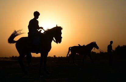 Hombre afgano cabalga durante la puesta del sol en la provincia de Herat, Afganistán.