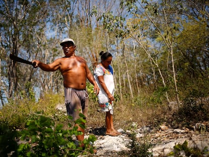 Francisco Collo Caamal y Maria Mex Can trabajan el campo en Hecelchakan, Estado de Campeche (México), en marzo de este año.