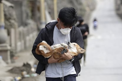 Un voluntario lleva un perro que rescató de casas desiertas cerca del volcán Taal, mientras los residentes evacuaban a terrenos más seguros dejando a algunas de sus mascotas en Talisay, provincia de Batangas (Filipinas), el miércoles 15 de enero.