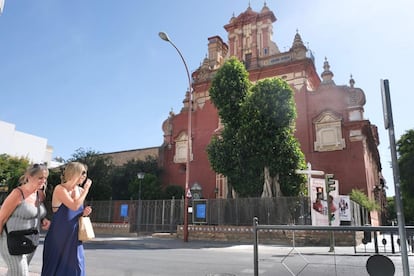 El ficus de San Jacinto, en el barrio sevillano de Triana, un año después de que se ordenara su tala.