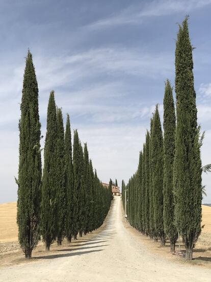 Carretera de la Toscana (Italia).