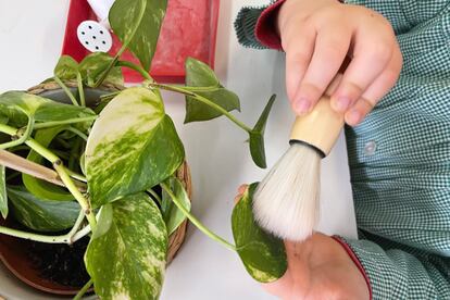 Un niño realiza una actividad con una planta en C.P. San Benito de Madrid. La pedagogía Montessori trabaja con elementos naturales